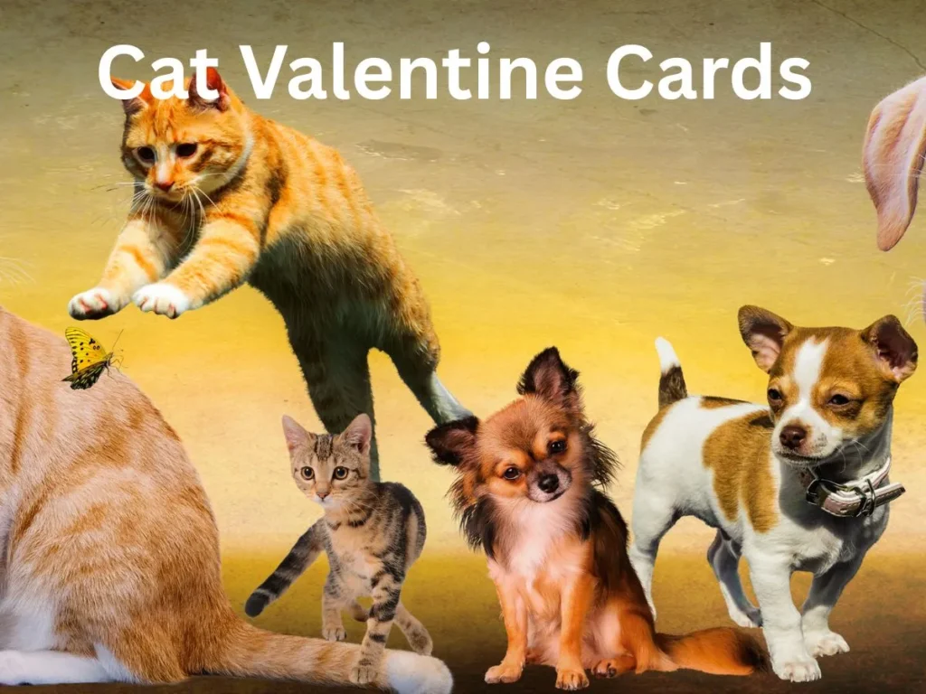 Cat Valentine Cards 