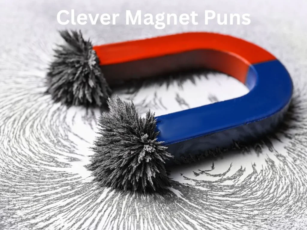 Clever Magnet Puns