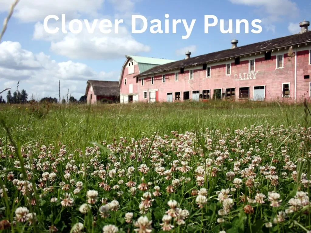 Clover Dairy Puns 