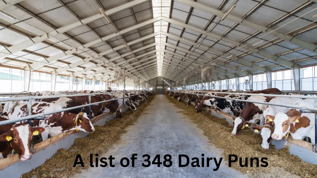 Dairy Puns