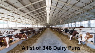 Dairy Puns