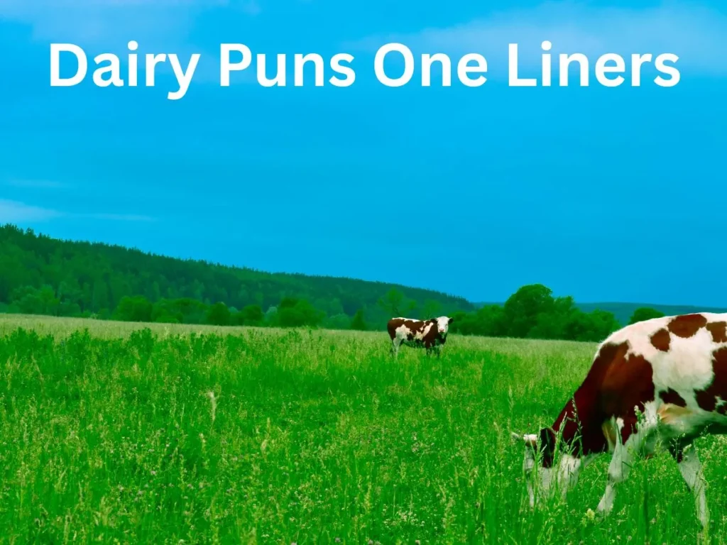 Dairy Puns One Liners