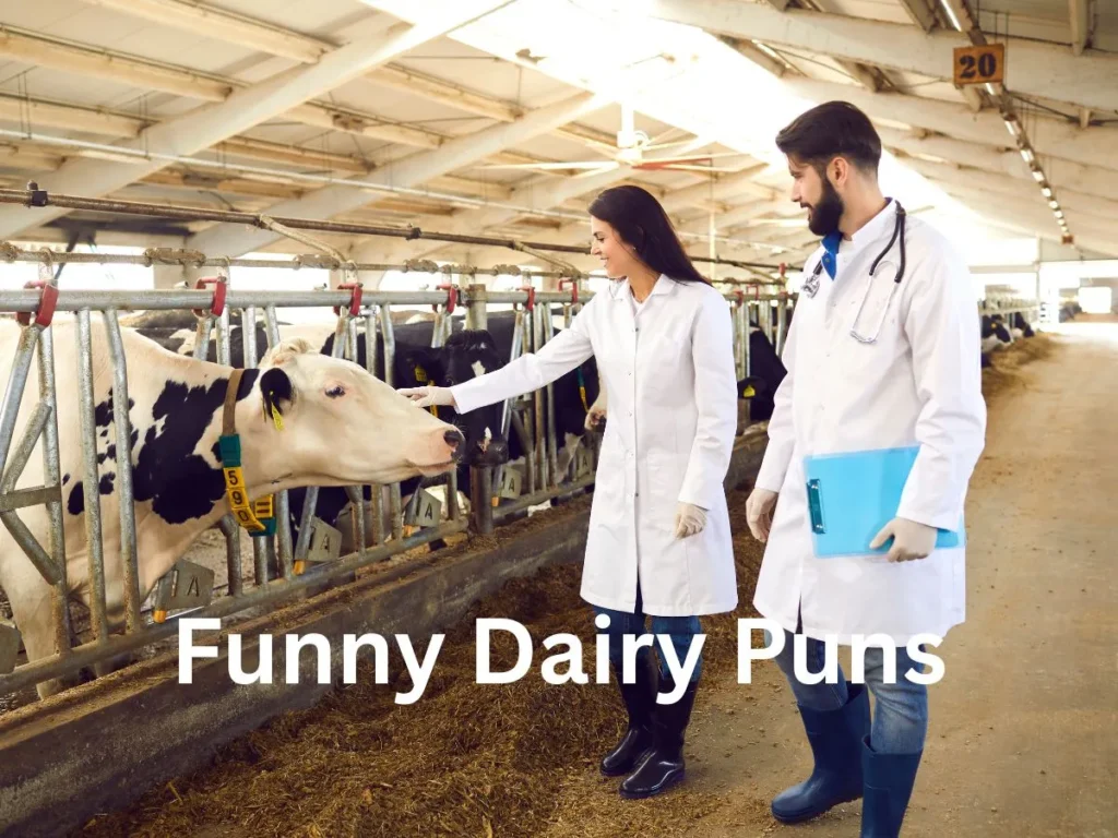 Funny Dairy Puns