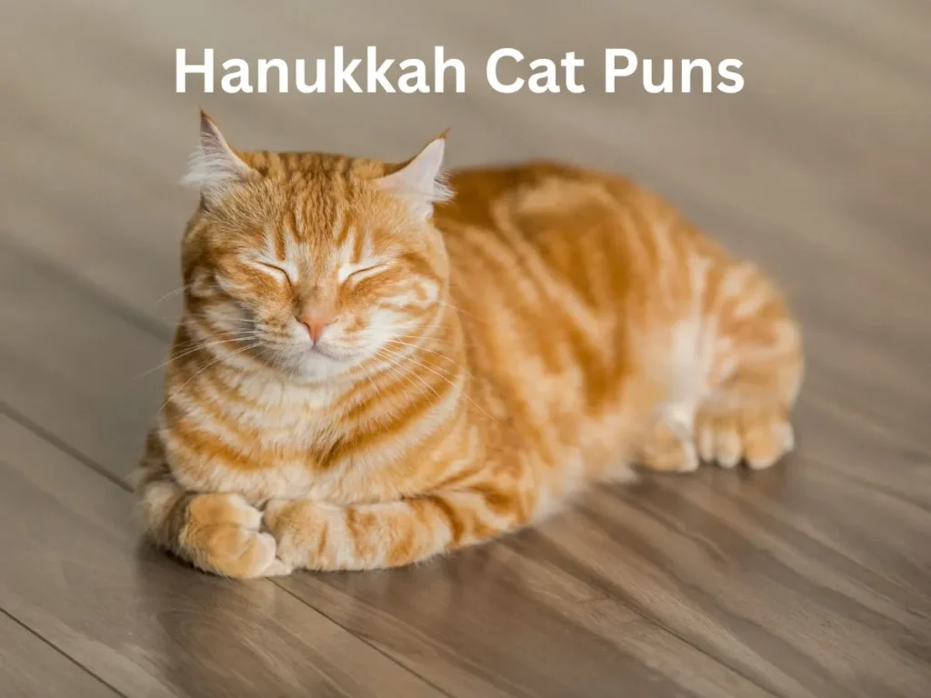 Hanukkah Cat Puns 