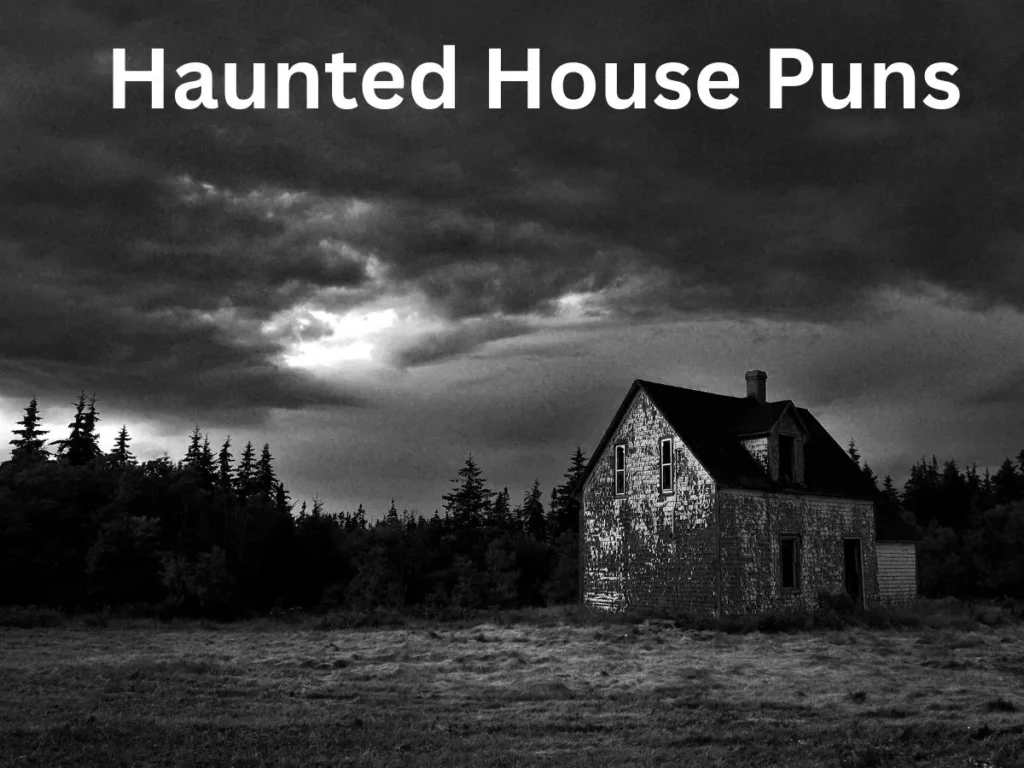 Haunted House Puns
