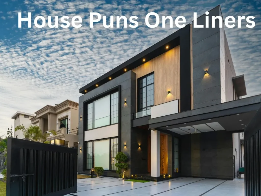 House Puns One Liners