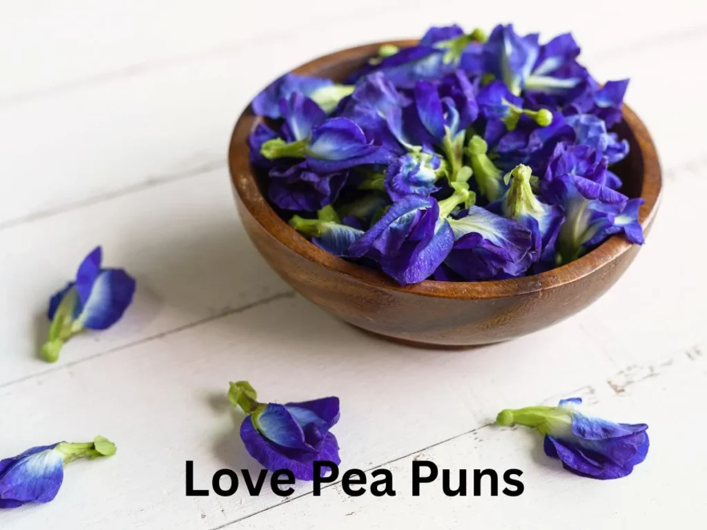 Love Pea Puns