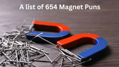 Magnet Puns