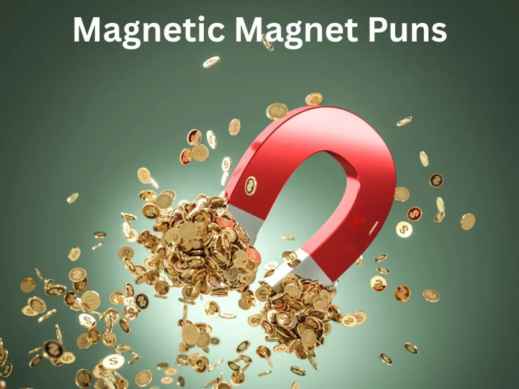 Magnetic Magnet Puns
