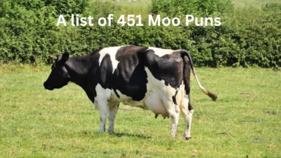 Moo Puns