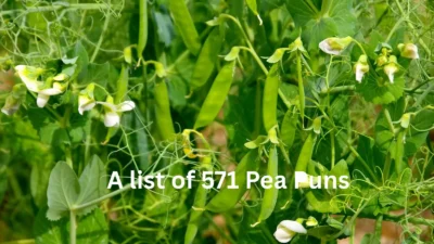 Pea Puns