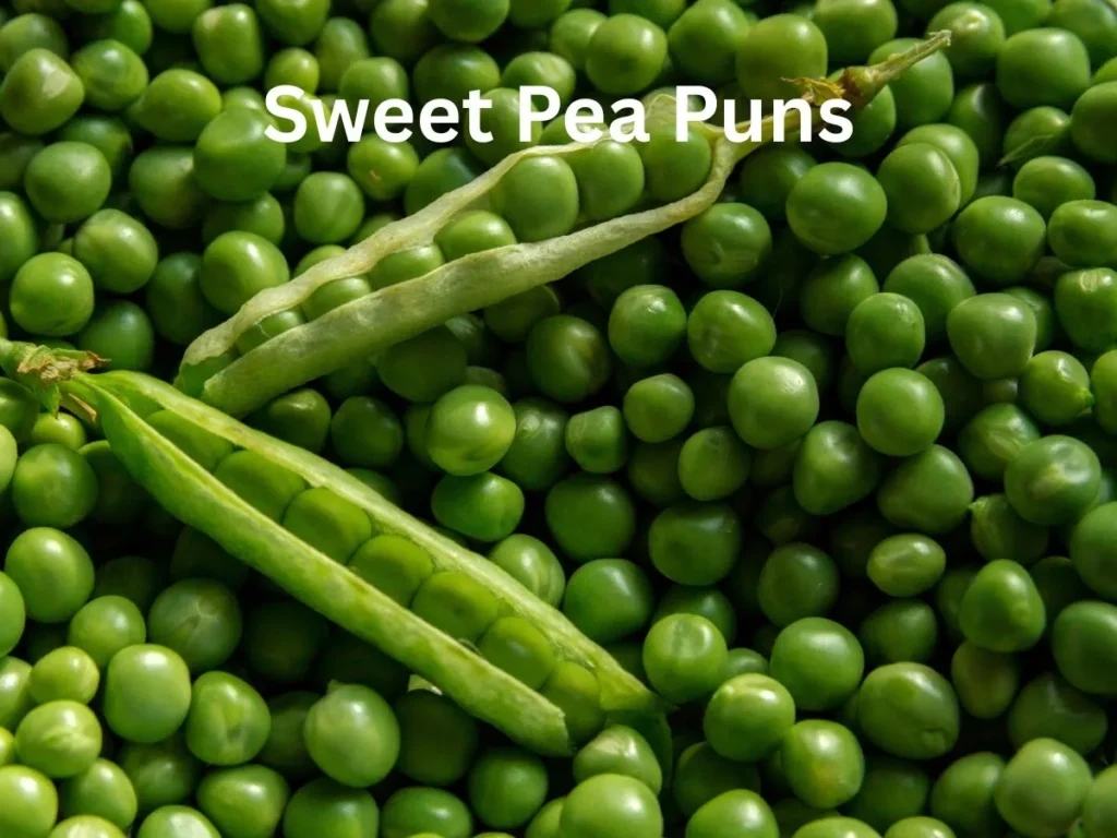 Sweet Pea Puns