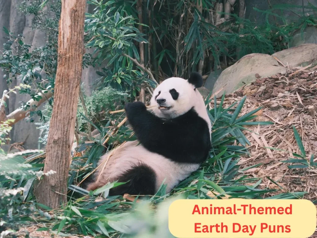 Animal-Themed Earth Day Puns