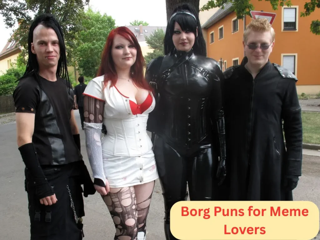 Borg Puns for Meme Lovers