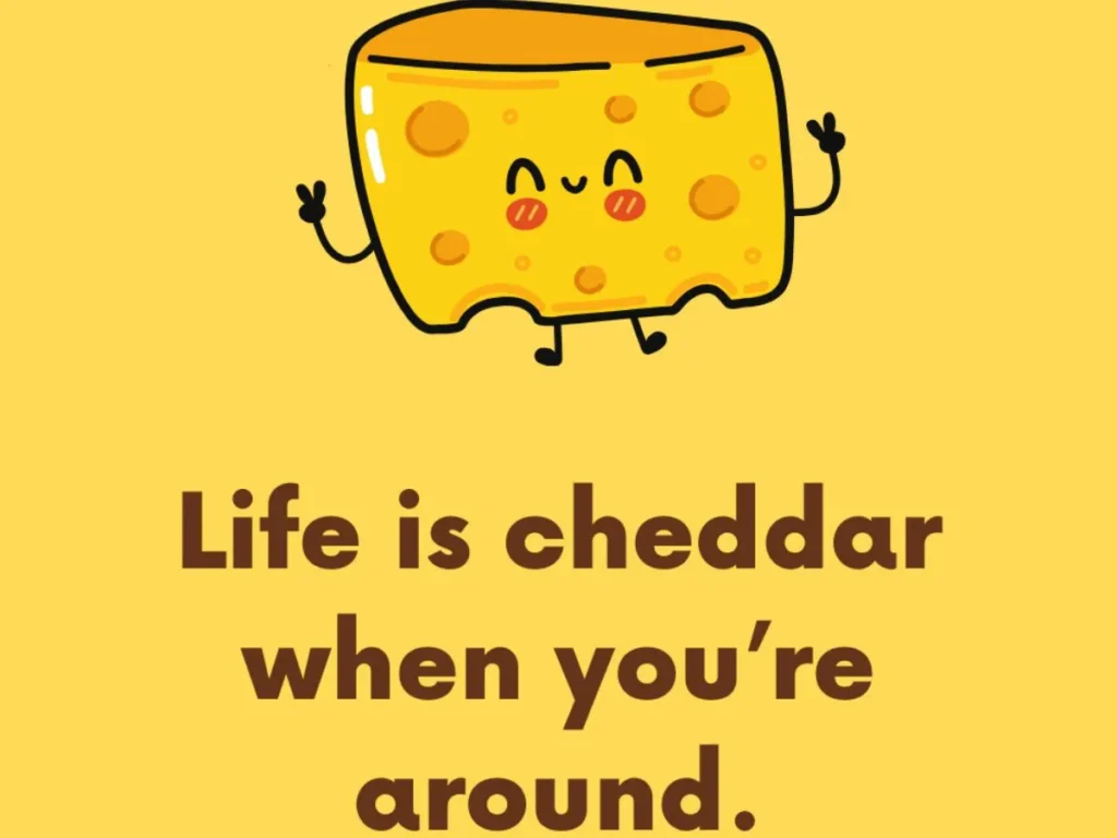 Cheddar Cheese Jokes