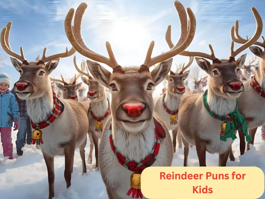 Reindeer Puns for Kids