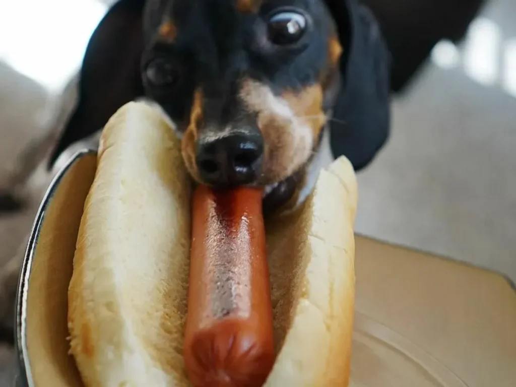 Snapchat Hotdog Puns