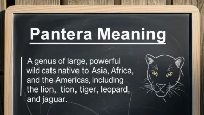 Pantera Meaning