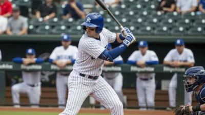 Pinch Hitter Meaning