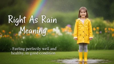 Right As Rain Meaning
