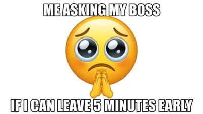 Pleading Emoji Meme